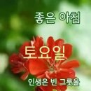 8,19(토).간추린 News 이미지