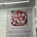 여수딸기앙모찌돌산점 | 여수여행 필수코스 돌산 딸기앙모찌 직영점 후기