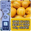 이정형 | ❌❌품절입니다❌❌ [이정형 로얄크기 참외]💛⭐️20브릭스 참외⭐️경매장 최고 당도 이정형 참외 오늘은 10kg 4만...