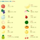 체리쉬투어 이미지