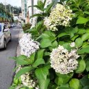 금수강산사우나 이미지