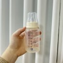 마미캠프산후조리원 | 창원 마미캠프 산후조리원 내돈내산 입실 후기 모자동실 솔직후기