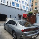 강경렌트카 이미지