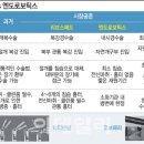다크호스
