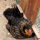 풍경(오월의 이야기 이미지