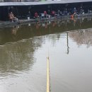 자일낚시터 이미지