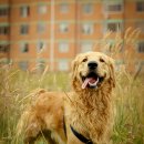 아이펫 동물병원 이미지