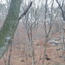 대왕로또 Daum카페