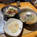 이수홍어회 | [서울/사당] 냉면 맛집 '현충면옥' 물냉면, 회냉면, 고기만두 추천 후기