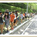 주전초교병설유치원 이미지