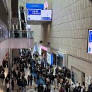 2026 서울리빙디자인페어 후기 - 가구 디자인 트렌드 관람꿀팁