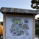 허브팜 | 볼만한곳 가을여행 스카이 허브팜 포토존 맛집 [허브...포천] 솔직 담백 후기(feat,반려견 동반 가능👍🏻)