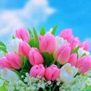 4월 21일 월요일 간추린 뉴스와 날씨 이미지