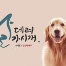 데려가시개 이미지