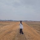 수일목장 | 청주 가볼만한곳 드라이브 데이트코스 딱 정해줌 + 지도공유