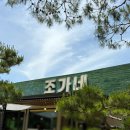 조가네한우 | 횡성 조가네 방문후기 (막국수, 한우육회막국수, 한우우거지탕, 횡성맛집 | 🍚