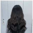 롯데마트 원주점(지하2층) | 원주미용실 휴이엠헤어 롯데마트원주점 방문한 솔직한 후기