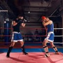 에밋 복싱 이미지