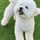 헬로우버디 판교밸리점 이미지