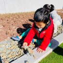 기장웨이브리즈어린이집 이미지