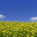 13헤르츠 이미지