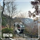 소나무정원 | 화담숲 코스 후기 (3) 소나무 정원 암석 하경 정원 분재원