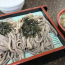 백년국수 | [청주 중앙모밀] 여름엔 냉모밀국수! 백년가게 청주 모밀 맛집 오픈런 후기