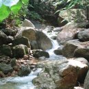 숨은 계곡 이미지