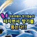 대화향기나는세탁소 이미지