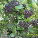 김진득 농장 이미지