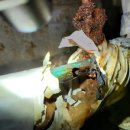 상하수도본부 화장실 | 누수 탐지 업체, 드디어 누수 부분 확인 및 수리