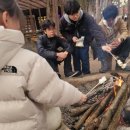 봄이네 애견 이미지