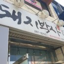 돼지박사