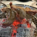 돼지저금통 | [청주] 돼지저금통 솔직후기: 삼겹살 말고 '갈매기살'을 추천! (내돈내산)