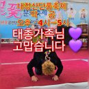 🍁내장산 단풍축제🍂＜일요일＞💥막공💥실방 Live 이미지