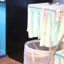 뱅뱅 복싱클럽 이미지