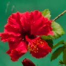 아산가든 이미지