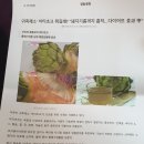 웰그린 아티초크 후기입니다