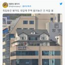 보는 순간 물음표만 남발되는 사진 이미지