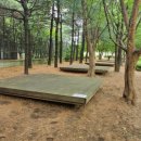 성동 서울숲 여름캠핑장 이미지