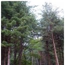 유식물원 이미지