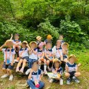 숲속늘푸른어린이집 이미지