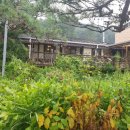 카페브런치(오후) 이미지