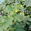 요셉농장 이미지