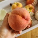 금봉농장 이미지