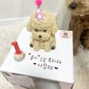 멍멍이츠 이미지