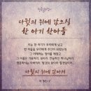 다윗의 아들 솔로몬 이미지