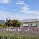 허브밸리(전망대) | 전북 남원 여행 지리산 허브밸리 라벤더 철쭉 전망대 가볼만한 곳 추천 (+주차장, 입장료 정보)