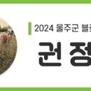 울주 피크닉 콘서트 가을 한 장 이미지