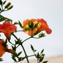 길소아청소년과의원 이미지